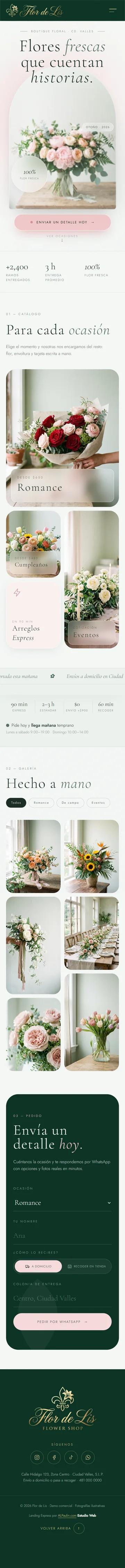 Página de Flor de Lis ya publicada, vista en celular